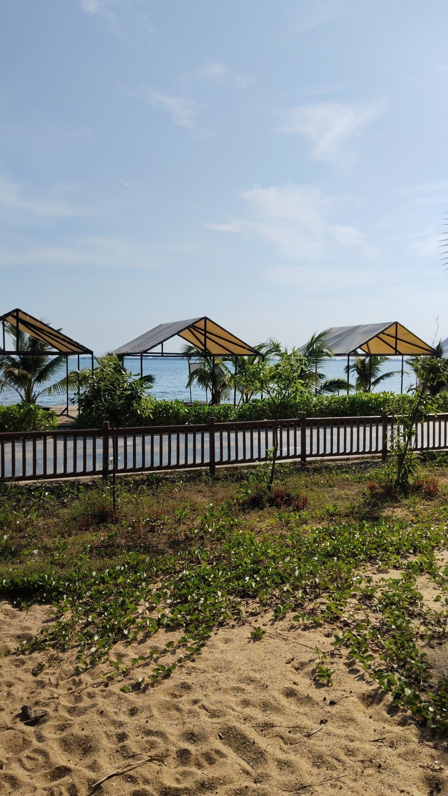 wp-1760377516004 image