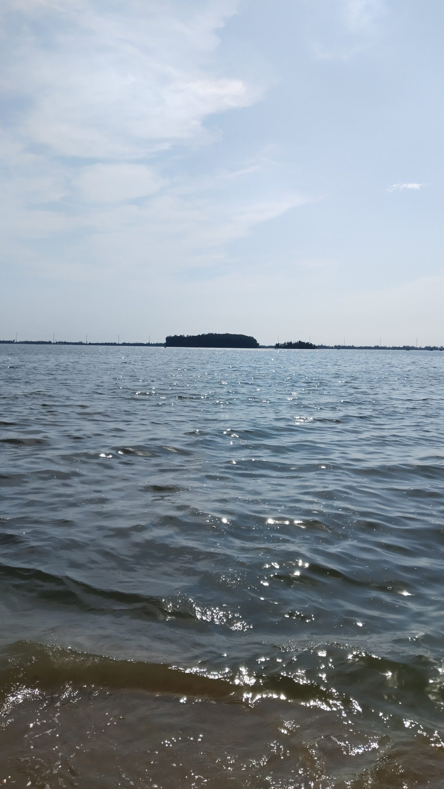 wp-1760377528172 image